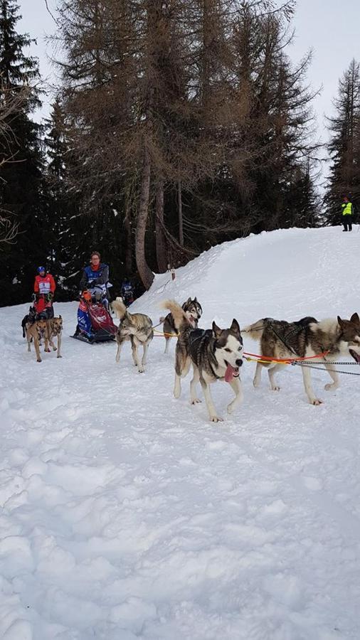 Appart Zig-Zag Les Coches La Plagne Exterior foto